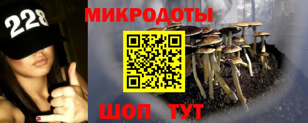 Галлюциногенные грибы Cubensis  Вход с VPN  Екатеринбург 